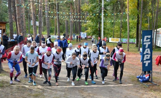 В Барнауле состоялся динамовский кросс, в котором участвовали ведущие легкоатлеты, лыжники и ориентировщики региона