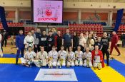 Алтайские каратисты завоевали восемь медалей первенства России по киокусинкай 