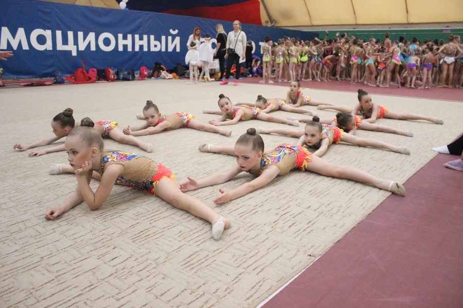 У краевой федерации художественной гимнастики – новый руководитель. К чему стремится Евгения Куренская   