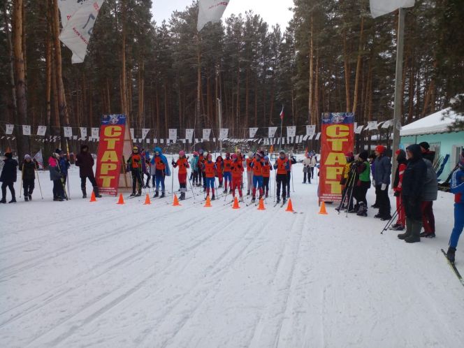 Победителями соревнований по лыжным гонкам краевой спартакиады спортшкол стали воспитанники ДЮСШ Бийского района среди юношей и  рубцовской СШ «Спарта» - среди девушек