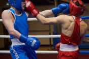 На Всероссийских юниорских соревнованиях памяти братьев Герасимовых боксёры Алтайского края завоевали семь медалей 