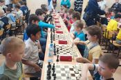 В Баевском районе открылся детский шахматный клуб 
