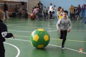 Краевой центр физического развития «Спортивная инициатива» провёл в День защиты детей  большой спортивно-развлекательный праздник