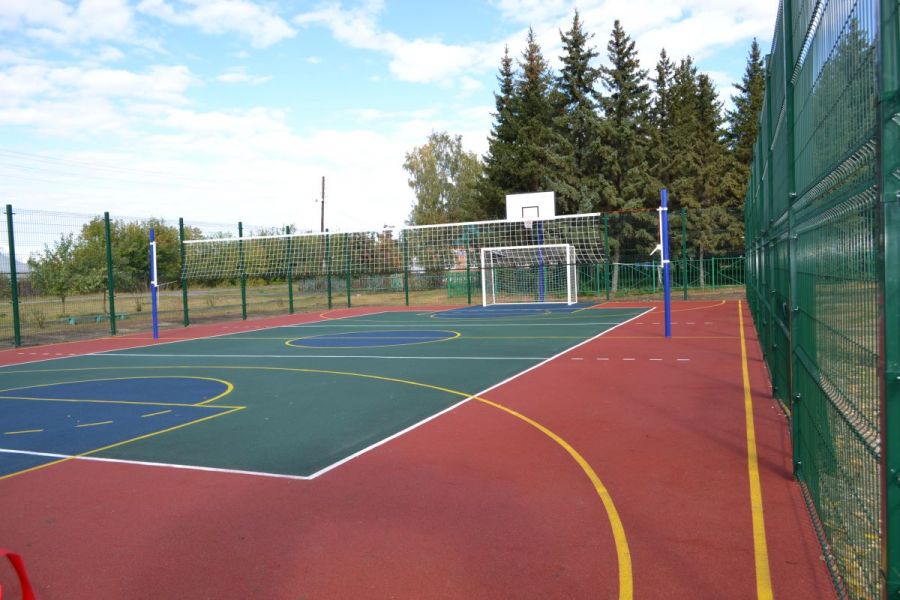 В Павловском районе тренеры проводят Дни спорта для детей