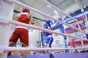 Четыре финала - все победные. Алтайские боксёры отличились на всероссийских соревнованиях в Хакасии 
