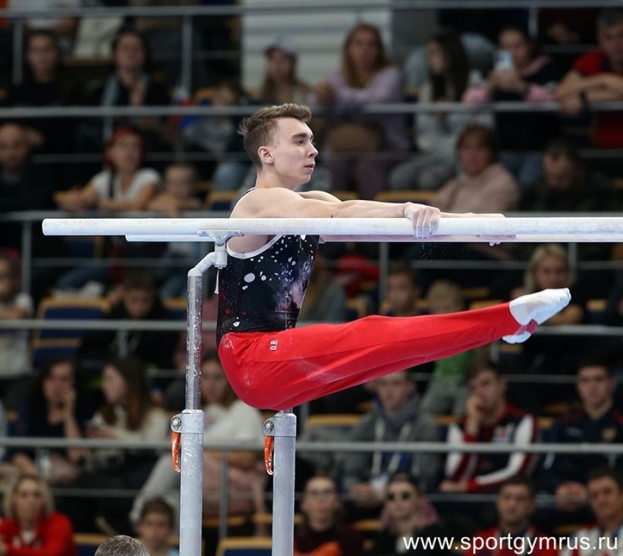 Сергей Найдин. Фото: Федерация спортивной гимнастики России