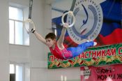 Смотр алтайской гимнастики. В Барнауле состоялось первенство Алтайского края (фото)
