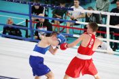 В Барнауле состоялись первенство и чемпионат Алтайского края по боксу (фото)