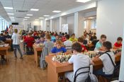 В первенстве края по шахматам чаще других побеждали бийчане