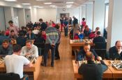 Госслужащие Алтайского края выявили сильнейших в шахматах