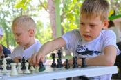 В Алтайском крае появится детский лагерь шахматного профиля
