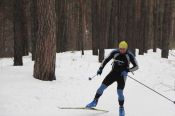 В Барнауле состоялись чемпионат и первенство Алтайского края по спортивному ориентированию на лыжах