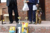 На чемпионате Сибирского федерального округа по спортивно-прикладному собаководству команда Алтайского края выиграла шесть золотых медалей.