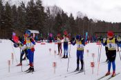 Алтайские лыжники выиграли семь медалей традиционных соревнований на призы олимпийской чемпионки Натальи Барановой