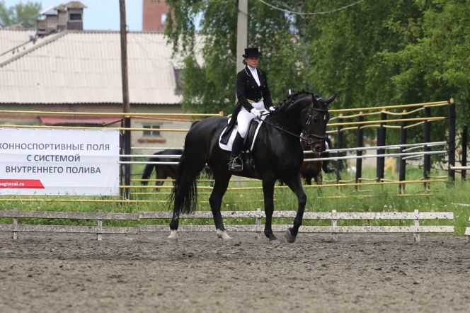 Фото: Федерация конного спорта Алтайского края