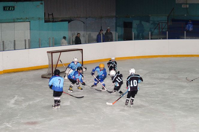 В Славгороде открыт хоккейный сезон