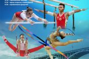 В Бийске прошли соревнования в честь Всероссийского дня гимнастики