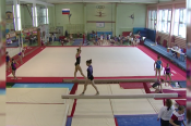 Алтайские гимнасты – победители и призёры Всероссийских соревнований памяти олимпийской чемпионки Елены Наймушиной 