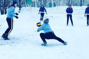 В Заринске состоялся краевой праздник Всероссийского дня снега  