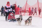 Алтайские спортсмены вернулись с медалями с соревнований по снежным дисциплинам ездового спорта Manzherok Husky Race 
