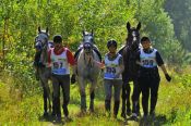 В Новосибирске впервые состоялись соревнования «Сибирская осень» по дистанционным конным пробегам, в которых алтайские спортсмены заняли почти все призовые места.