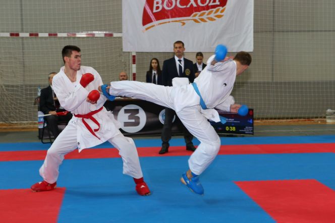Алтайские спортсмены завоевали 20 медалей на Всероссийском «Кубке маршала Покрышкина» по каратэ WKF