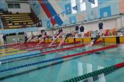 В Барнауле прошли региональные соревнования на призы краевой федерации плавания (много фото) 