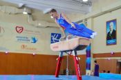 В Бийске определились победители и призеры краевого чемпионата и первенства среди гимнастов 