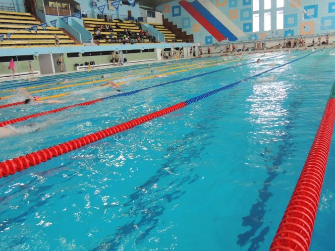 В барнаульском бассейне "Обь" состоялись краевые соревнования "Резерв Алтая"