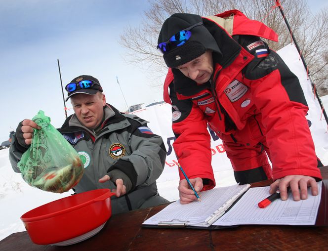 Рыбный день