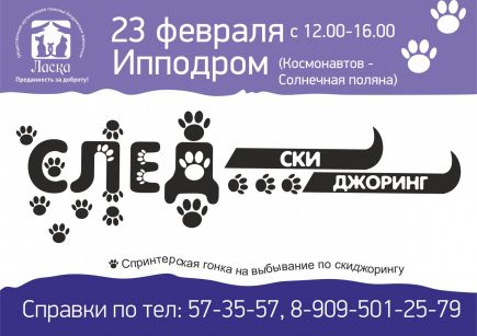 23 февраля на барнаульском ипподроме пройдут соревнования «След-2015».