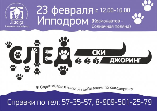 23 февраля на барнаульском ипподроме пройдут соревнования «След-2015».