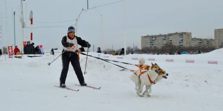 На краевом ипподроме прошли любительские соревнования «След-2015» (фото).