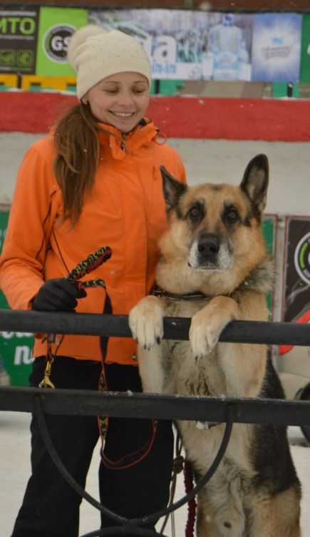 На краевом ипподроме прошли любительские соревнования «След-2015» (фото).