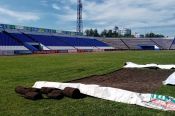 На стадионе "Динамо" началась реконструкция футбольного поля