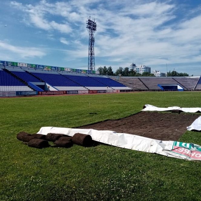 Фото: ФК "Динамо-Барнаул"