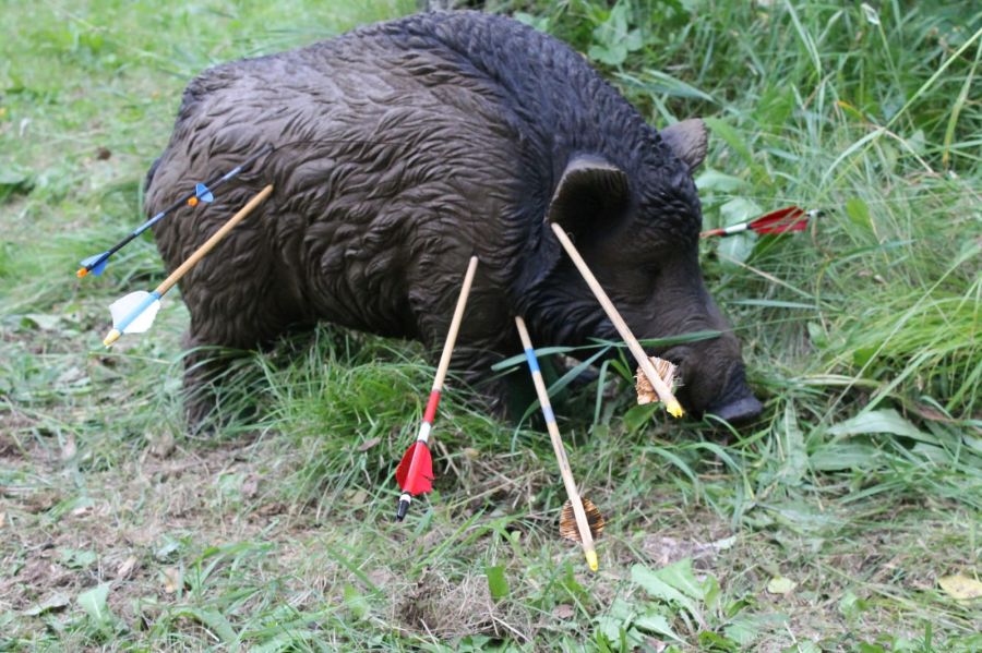 Спортсмены-лучники Алтайского края нацелились на охотничий вид стрельбы  