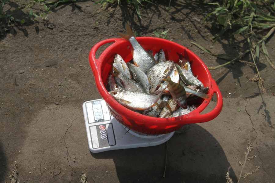 Фото: Ярослав Махначёв