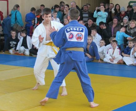 В селе Алтайском состоялся межрегиональный турнир "Алтайский витязь".