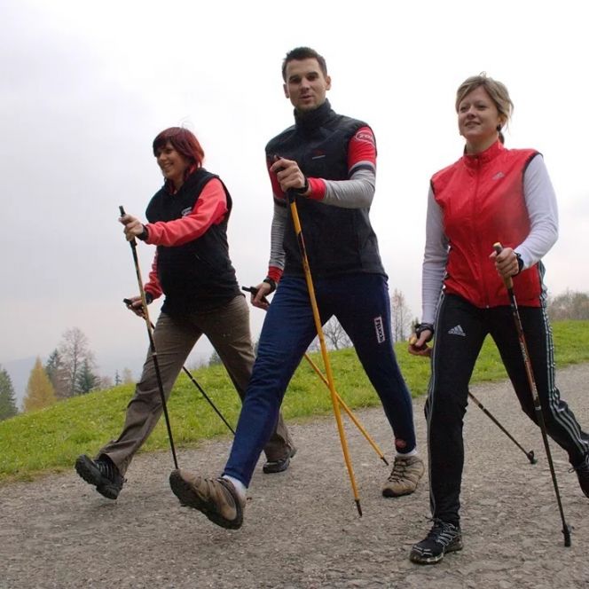 21 августа в Павловске пройдёт открытый урок северной (скандинавской) ходьбы