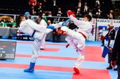 Бийчанин Даниил Чаплыгин принял участие в первенстве Европы по каратэ WKF среди юношей 16-17 лет 