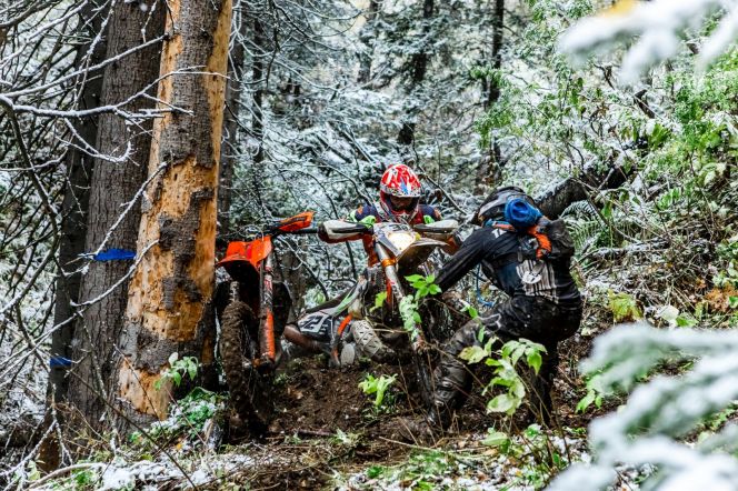 Фото: Анна Махницкая