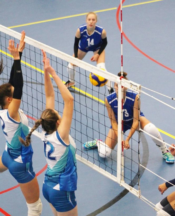 Фото: ВК "Алтай" "ВКонтакте"