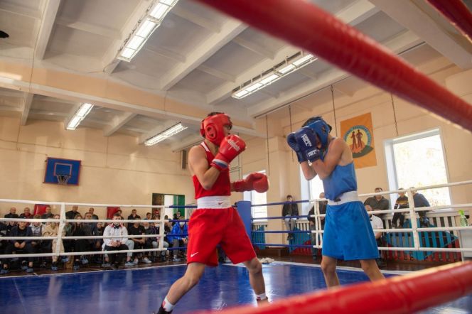 Фото: краевая федерация бокса