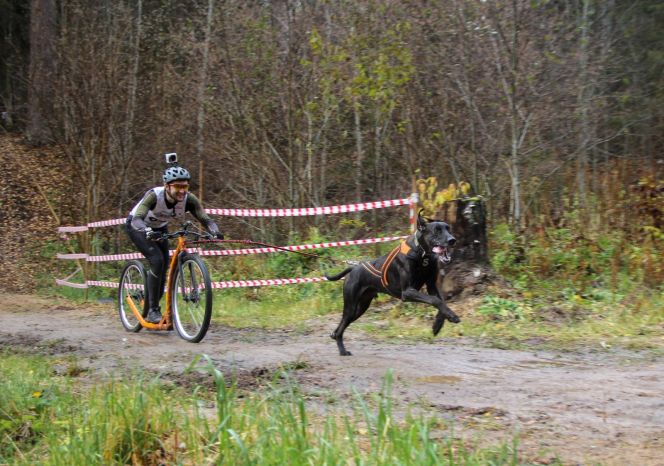 Иван Тимонин стал серебряным призёром чемпионата России