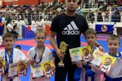 Юные алтайские спортсмены завоевали 28 медалей на VI межрегиональном турнире по каратэ WKF «Кубок Амана»