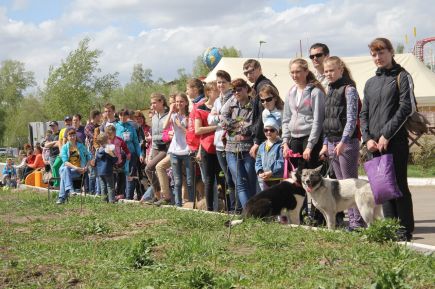 В Барнауле состоялись соревнования по спортивно-прикладному собаководству "Хвостатый полк" (фото).
