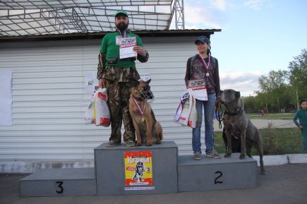 В Барнауле состоялись соревнования по спортивно-прикладному собаководству "Хвостатый полк" (фото).