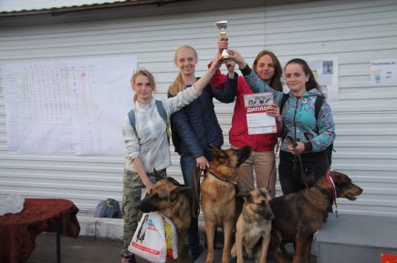 В Барнауле состоялись соревнования по спортивно-прикладному собаководству "Хвостатый полк" (фото).