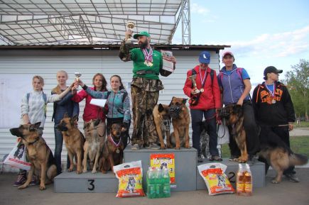 В Барнауле состоялись соревнования по спортивно-прикладному собаководству "Хвостатый полк" (фото).